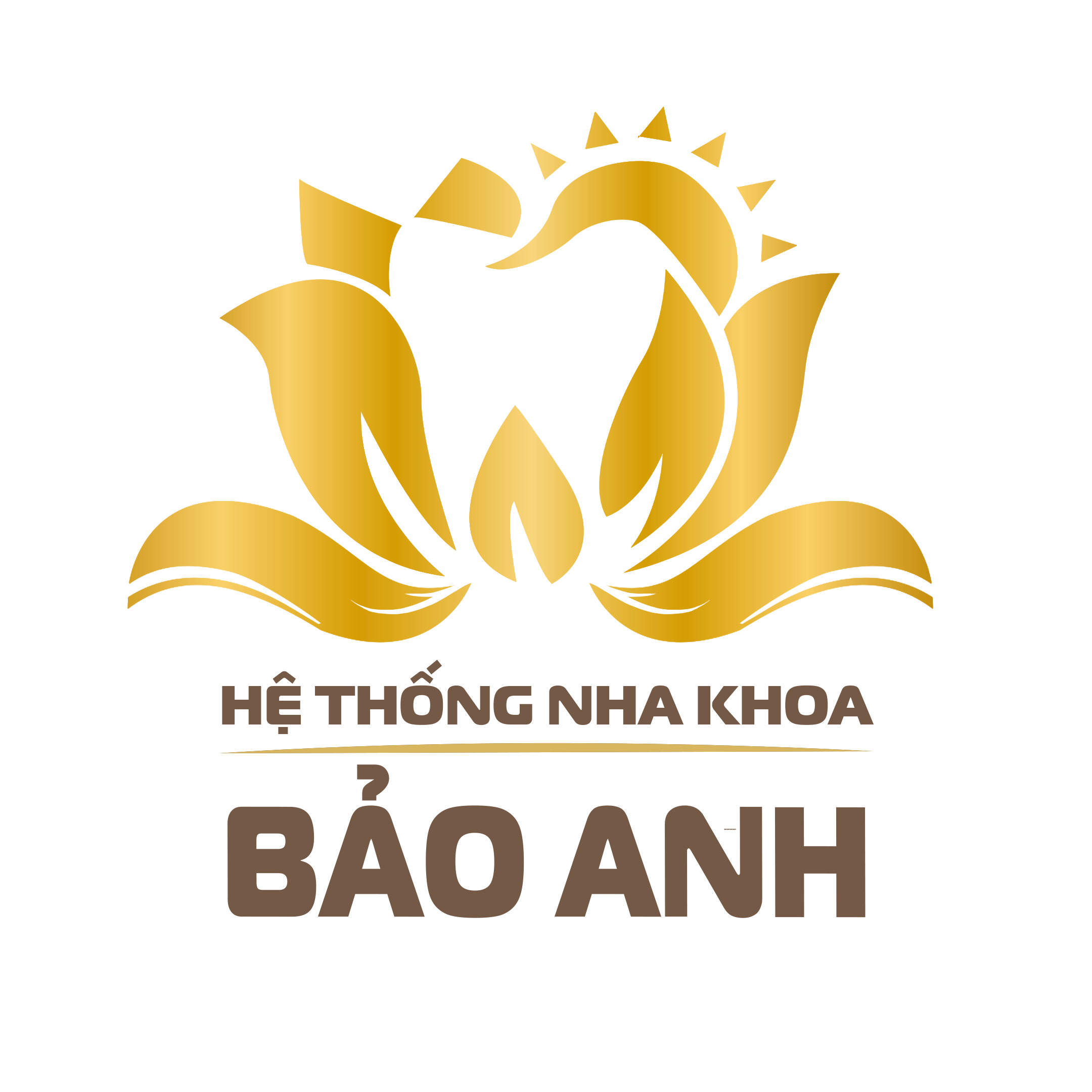 Hệ Thống Nha Khoa Bảo Anh